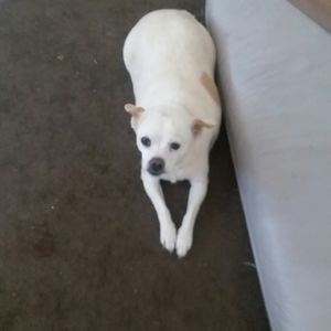 Meet your Posher, Stacy